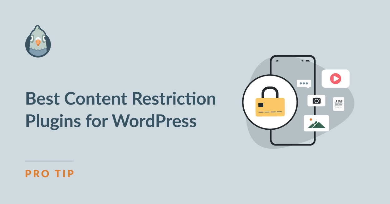 wordpress plugins for content restriction