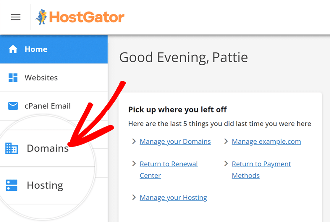 Hostgator domains option