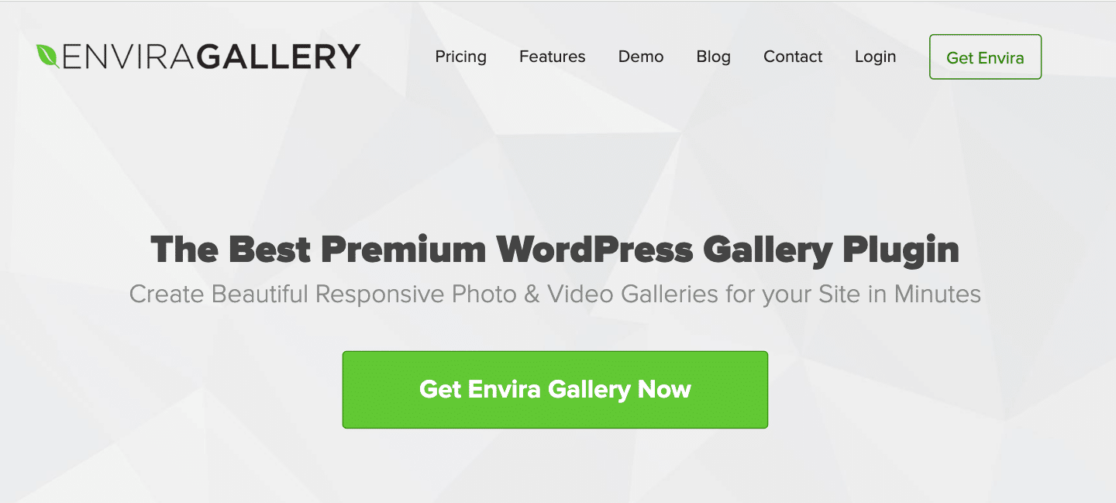Navigating the Envira Gallery homepage