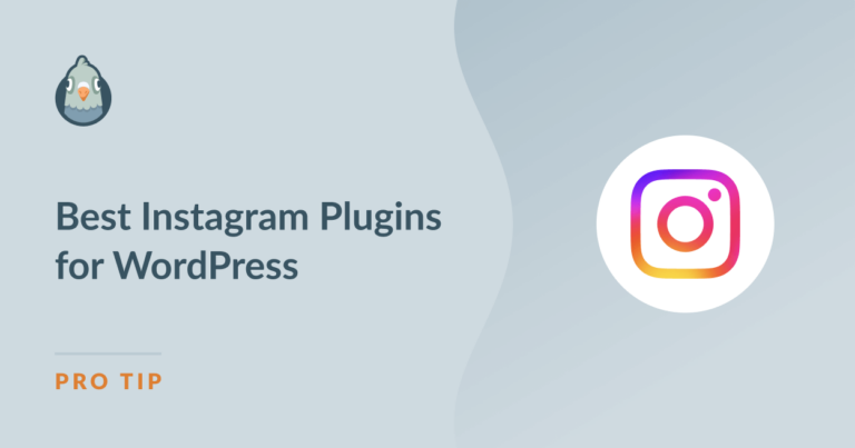 10 Best Instagram Plugins For WordPress