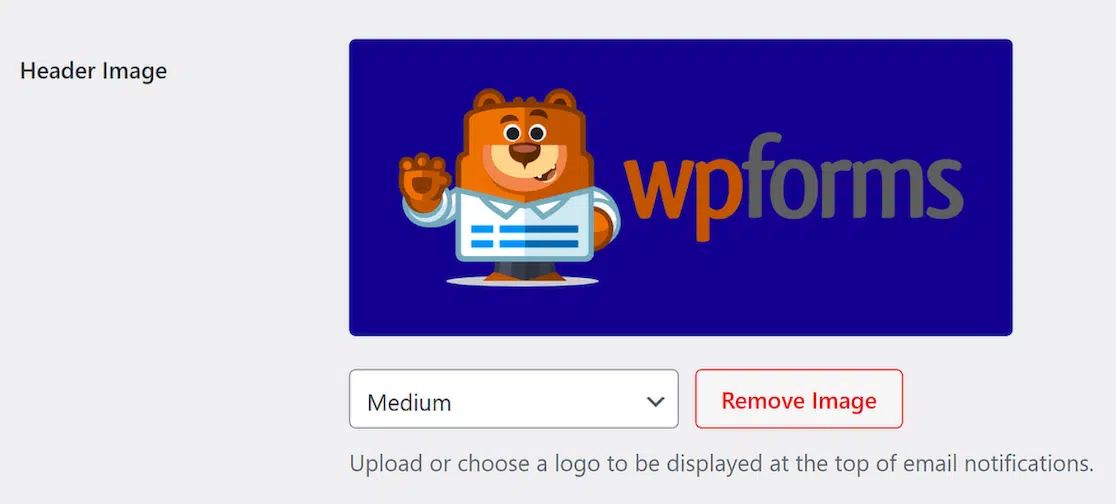 Viewing the header image