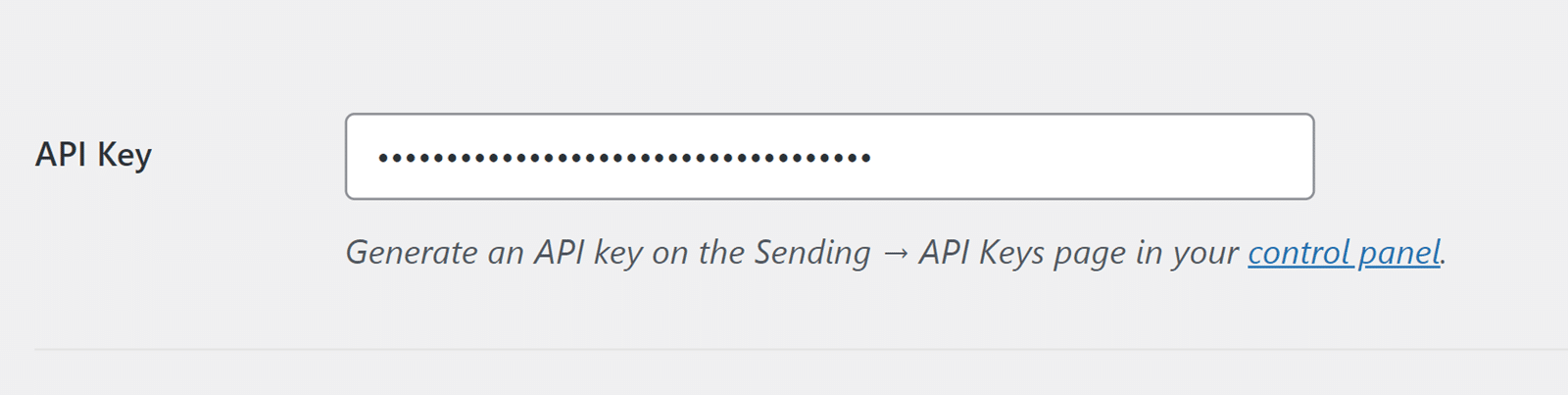 API key field