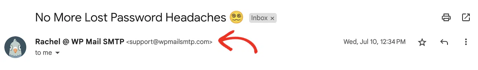 Support Email Address