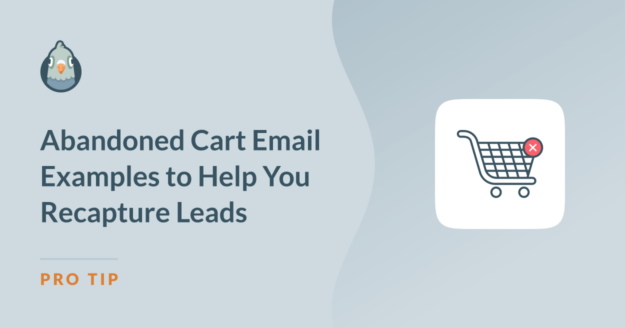 abandoned cart email examples