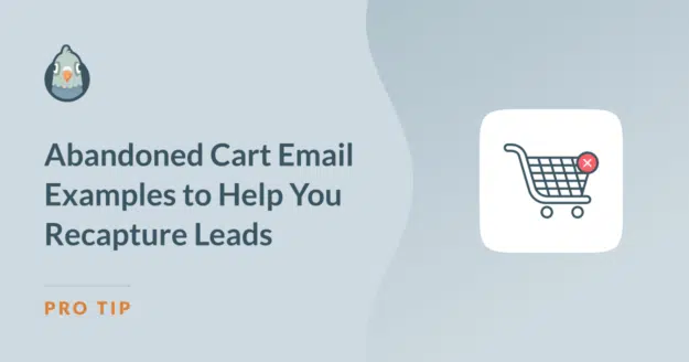 esempi di email per carrelli abbandonati