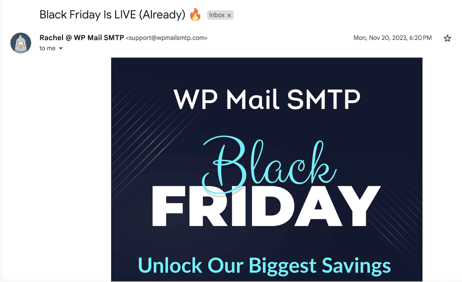 Black Friday Sale Live Email