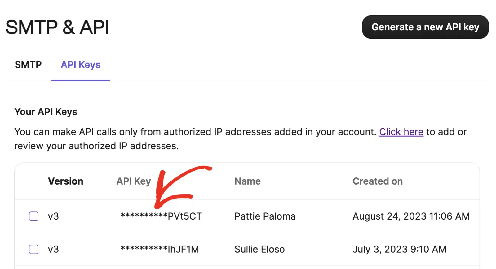 Maskierter API-Schlüssel Brevo Mailer