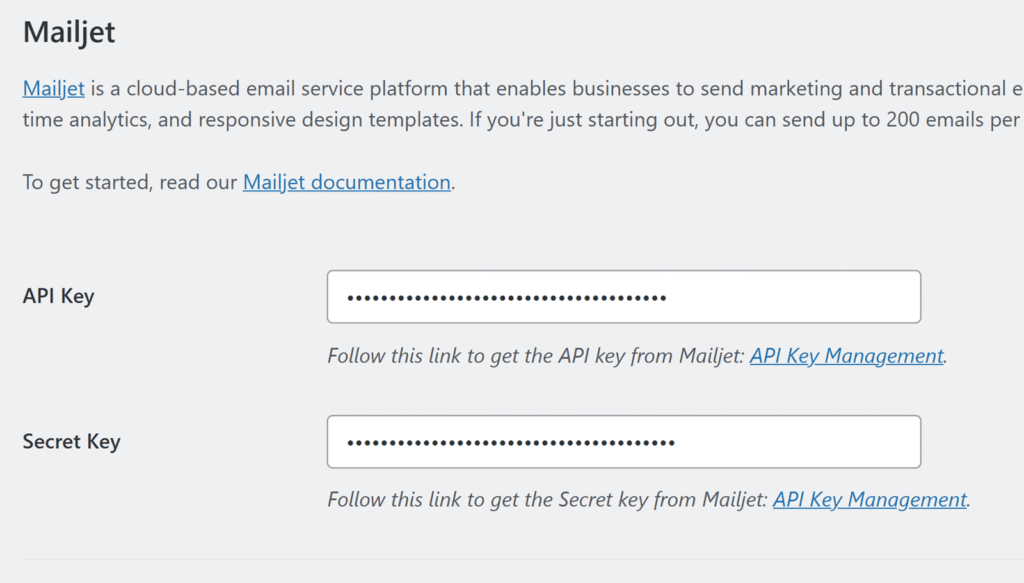 Paste Mailjet API Keys to WP Mail SMTP