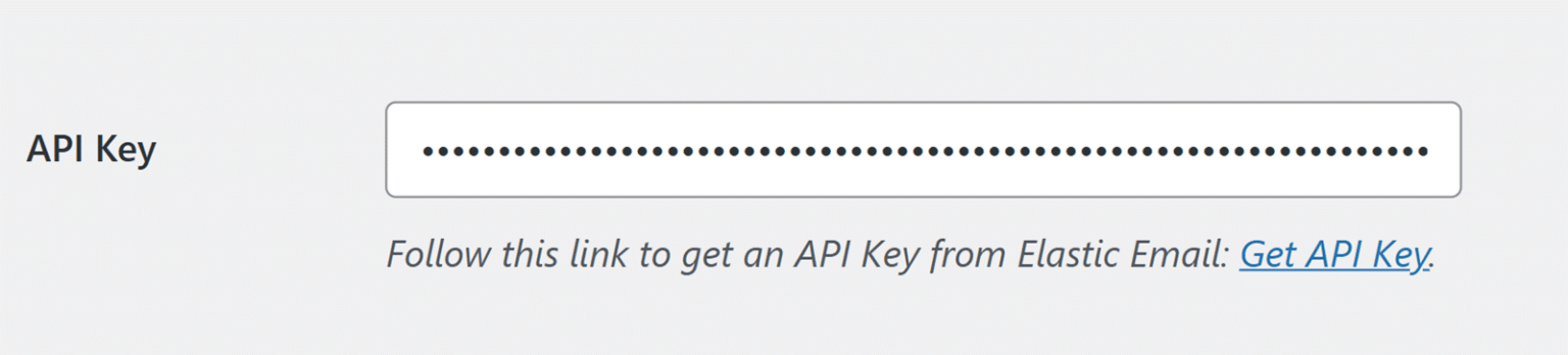 Pega la clave de la API