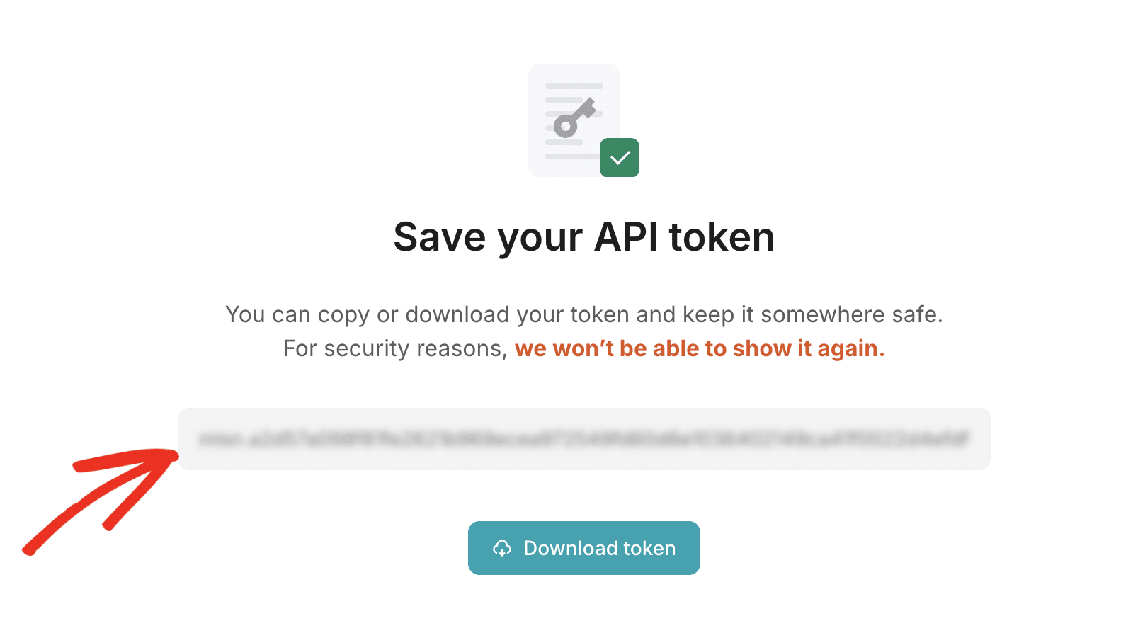 Copy API Key