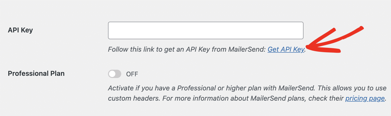 Click the Get API Key link