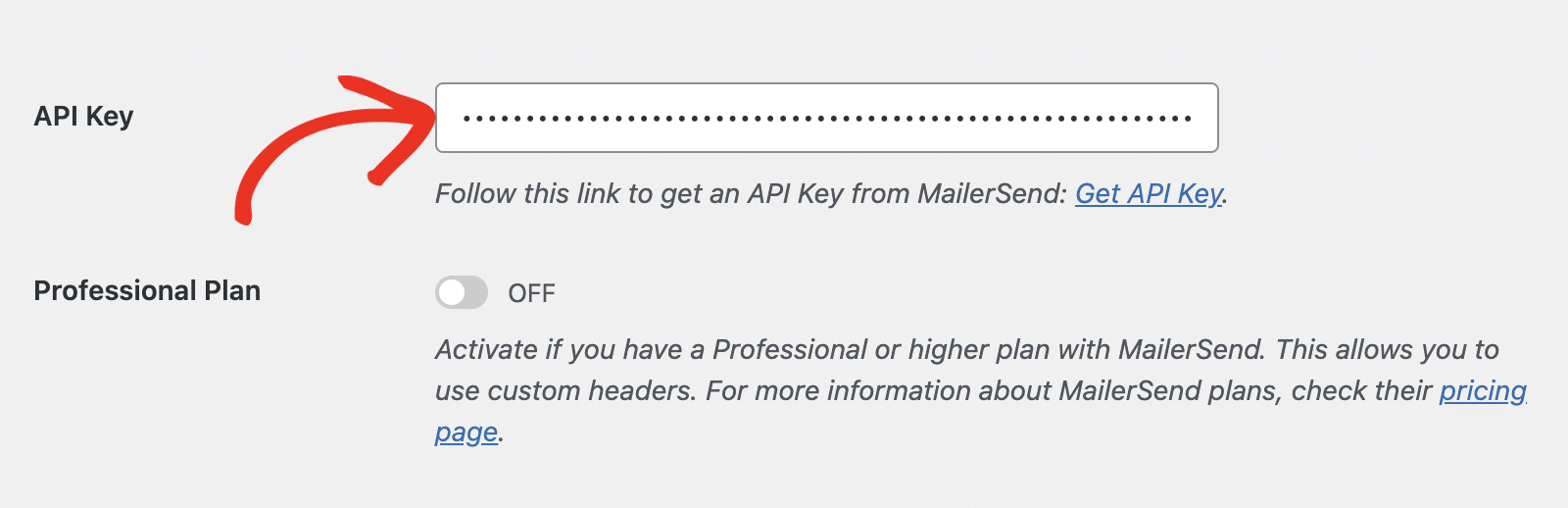 Paste MailerSend API Key