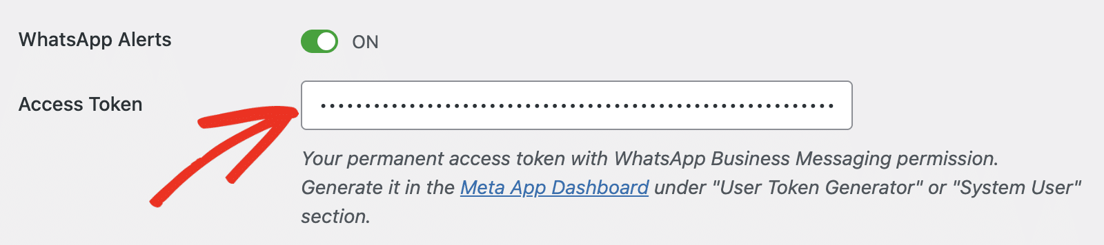 Paste access token