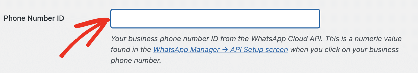 Phone Number ID field in WP Mail SMTP