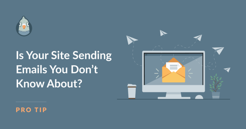 WordPress Email Audit