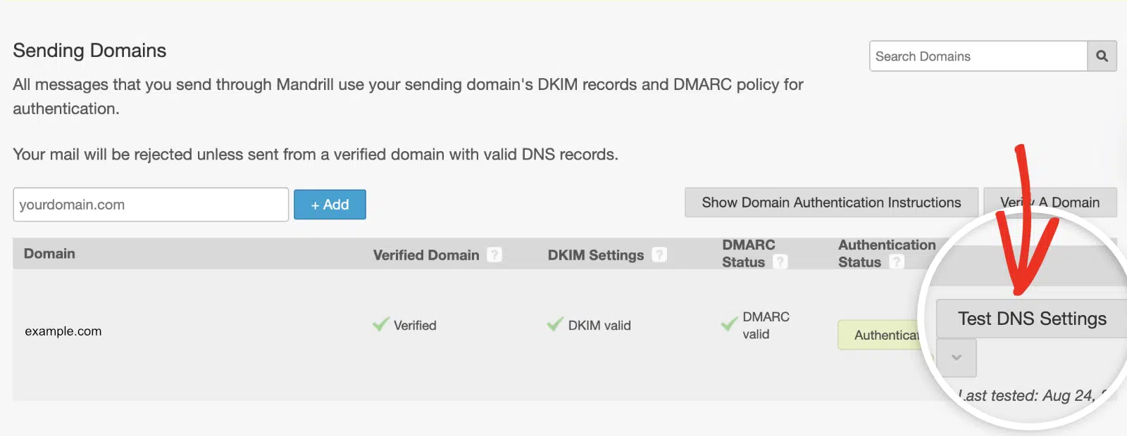 Test DNS Settings button in Mandrill