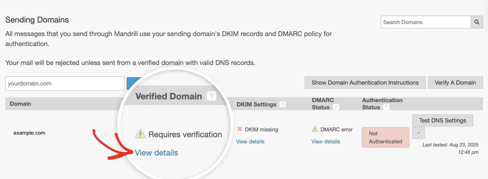 Domain verification record