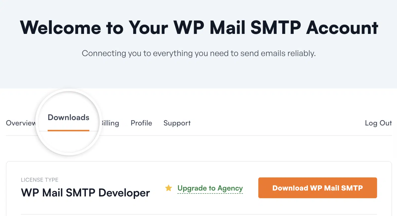 WP Mail SMTPアカウントのダウンロードセクションにアクセスする