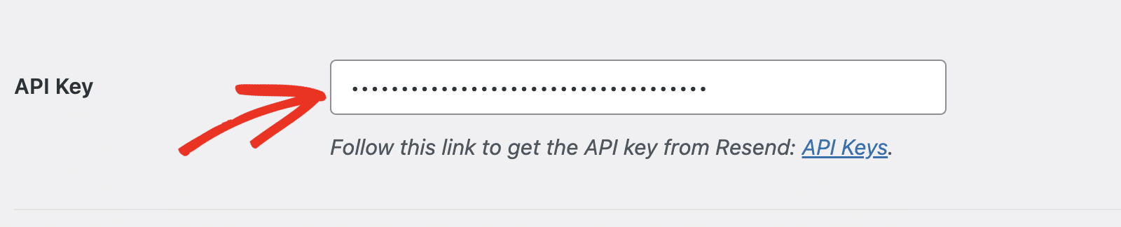 Coller la clé API de renvoi