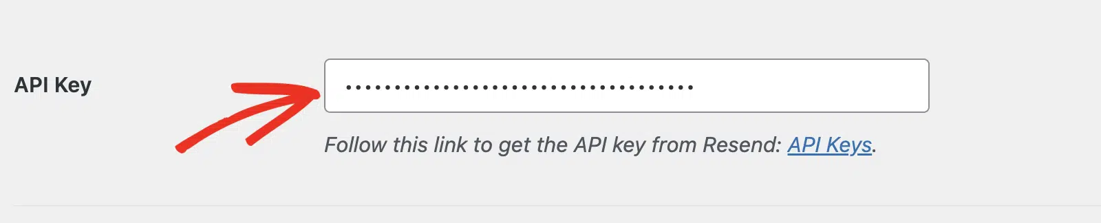 Paste Resend API Key