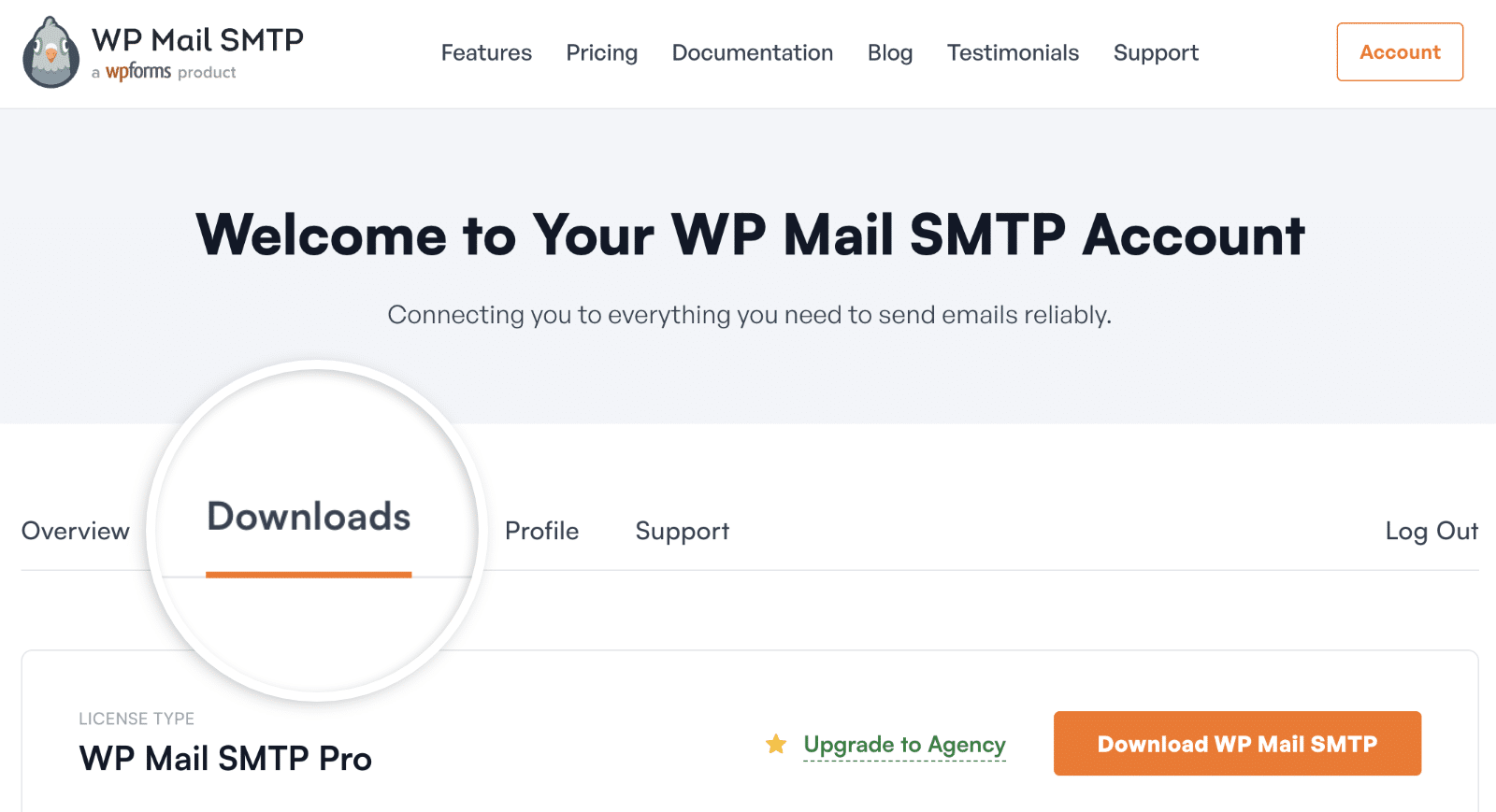Scheda Downloads WP Mail SMTP