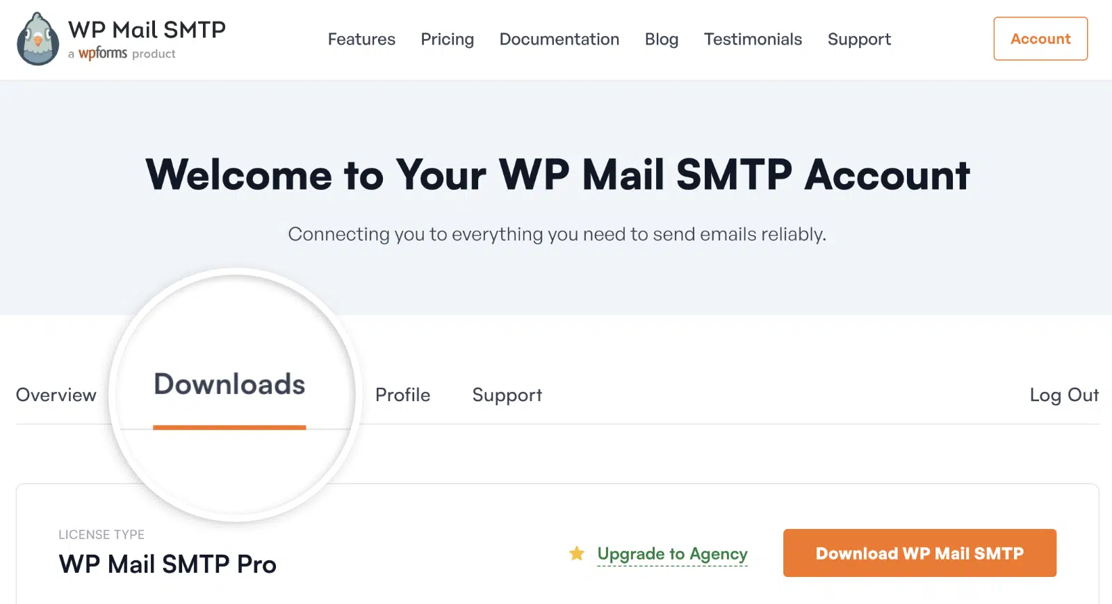 Scheda Download WP Mail SMTP