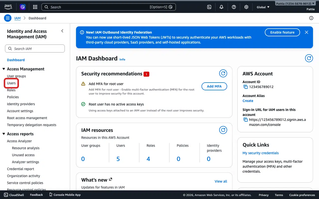 IAM sidebar showing Users link