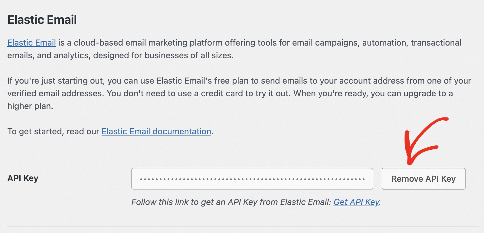remove-api-key - WP Mail SMTP Eliminar clave API