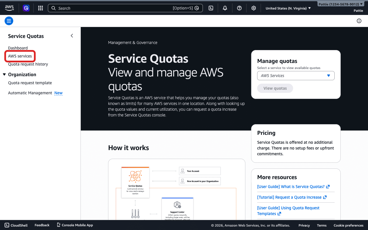 Haz clic en «Servicios de AWS» en la barra lateral