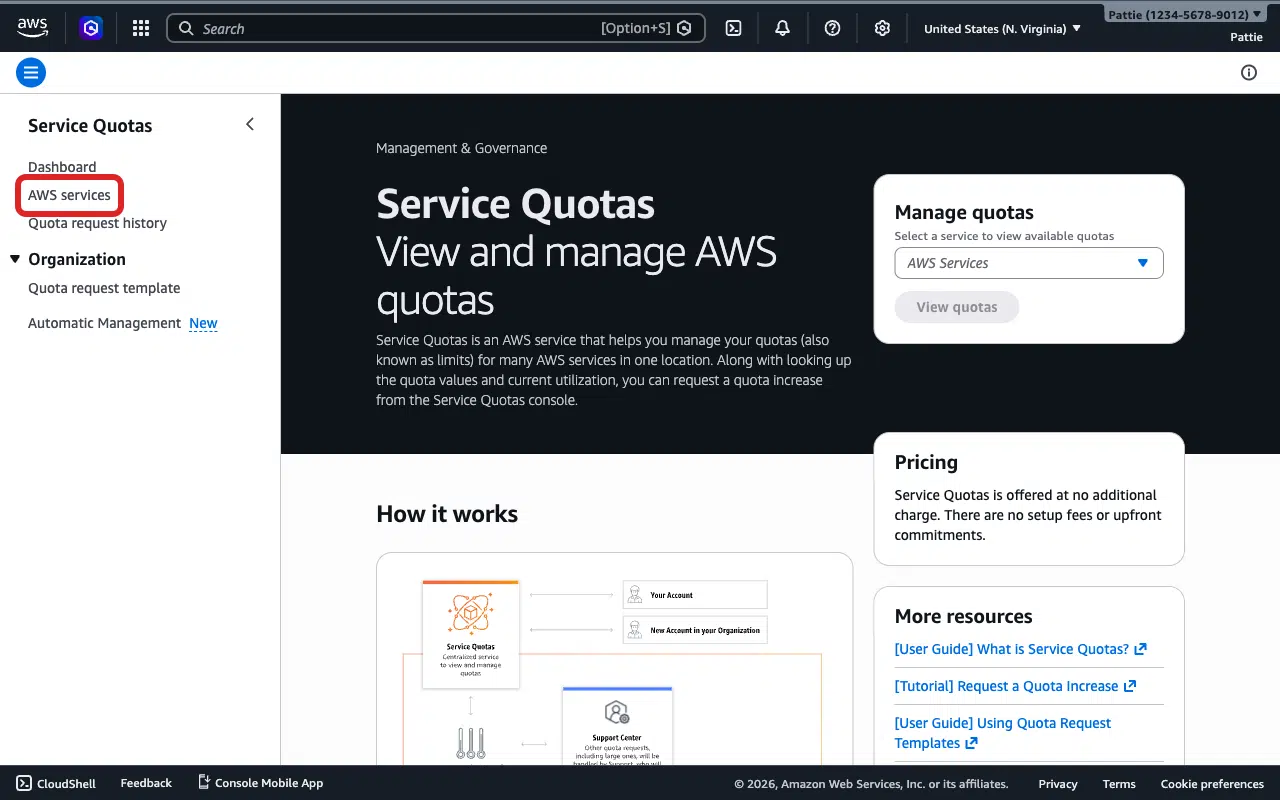 Click AWS services in the sidebar