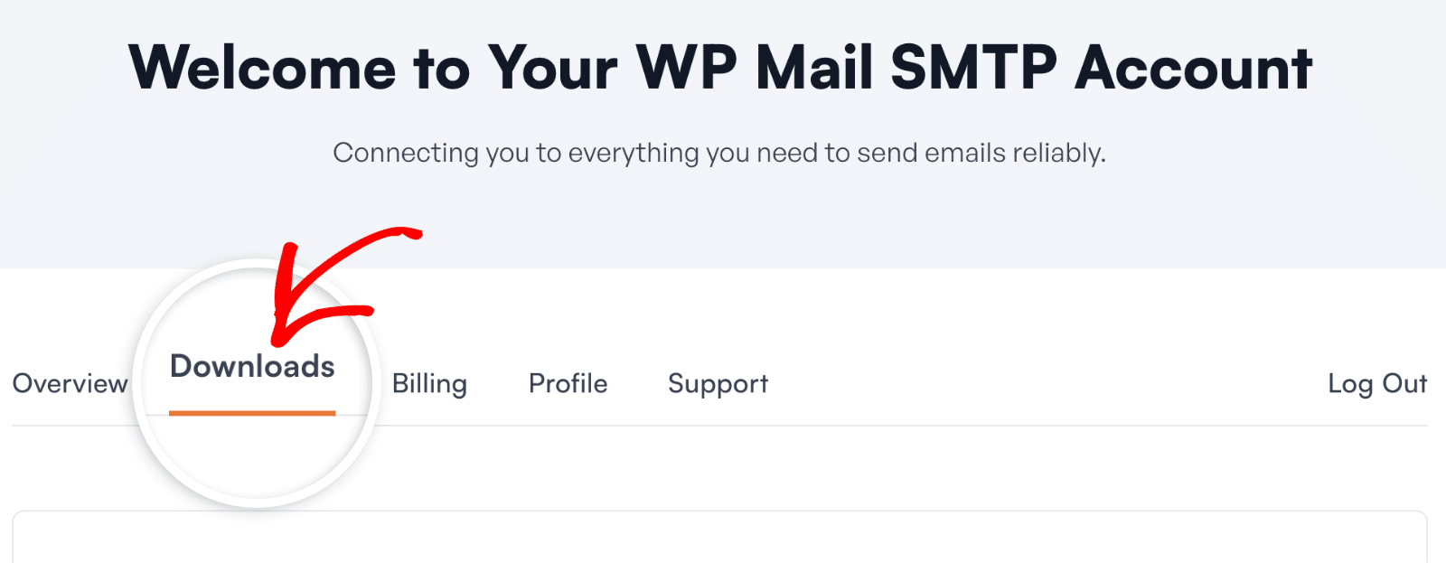 Aba Downloads Abra a aba Downloads na sua conta WP Mail SMTP