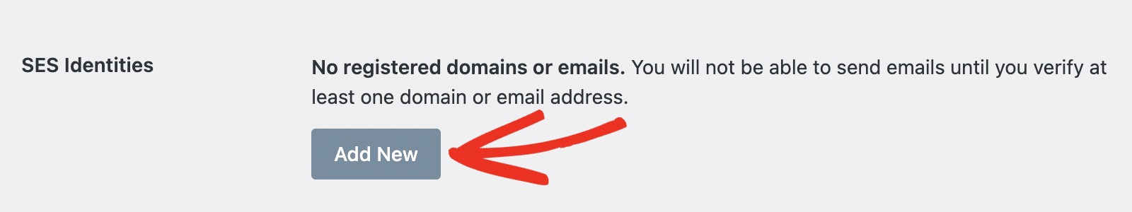 The Add New button in the SES Identities section