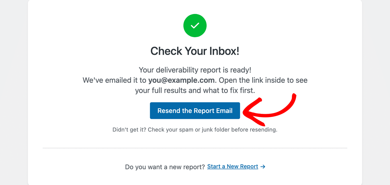 Email Detective Check Your Inbox screen after an email deliverability test